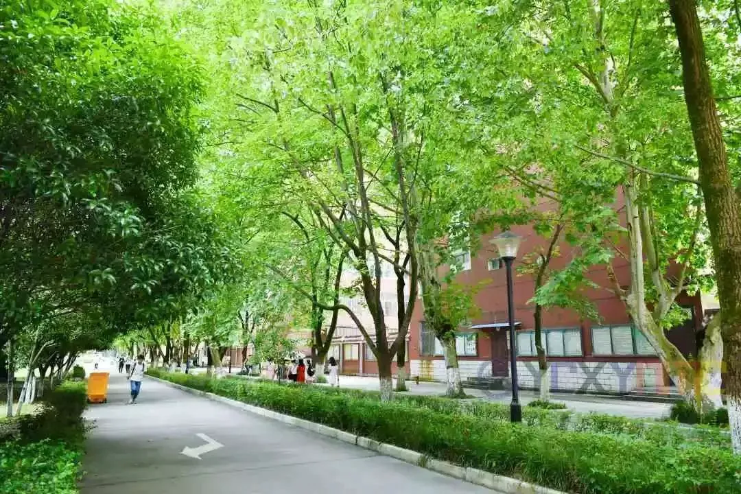 如何通过篮球训练提升自信心_0